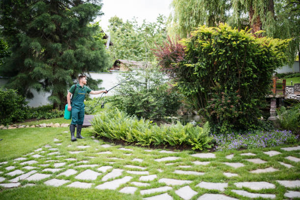 Best Pest Removal Services  in Murphy, MO