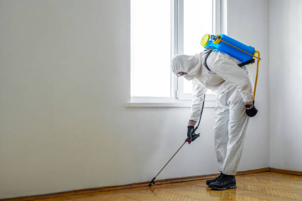Best Affordable Pest Control Services  in Murphy, MO
