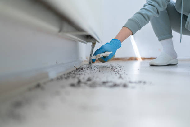 Best Residential Pest Control  in Murphy, MO