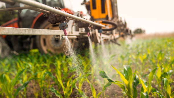 Best Wildlife Control Services  in Murphy, MO